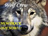 Wolf Crew profile picture