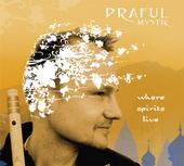 Praful-Mystik profile picture