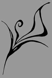 Calla Photography (Emma) profile picture