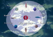 Equator profile picture