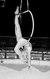 Just opened Circus School www.circusinstitute.com profile picture