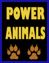 PoWeR ANiMaLs profile picture