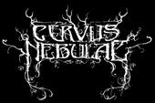 Cervus Nebulae SPLIT-UP profile picture