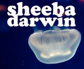 Sheeba Darwin profile picture