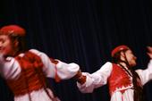 Delshodeh Dance Ensemble profile picture