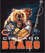 Chicago Bears profile picture