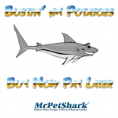 MrPetShark profile picture