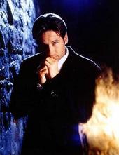 Fox Mulder. profile picture