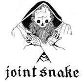 Joint Snake profile picture