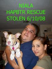 Hernando's American Pit Bull Terrier Rescue profile picture