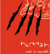 Boddah profile picture