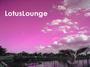 LotusLounge profile picture