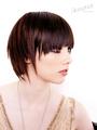 TONI&GUY ACADEMY CALIFORNIA profile picture