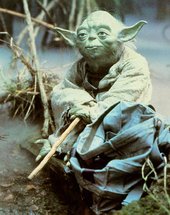 Yoda profile picture