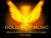 Gold Fly Music profile picture