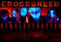 Crossbreed Street Team Captain (Maine) profile picture