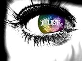 Muse Creations profile picture