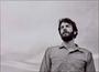 Ray LaMontagne profile picture