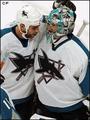 San Jose Sharks profile picture