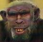 The Cro Magnon Professionals profile picture