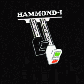 Hammond-Italia Mailing List profile picture