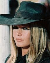 LES AMIS DE BRIGITTE BARDOT profile picture