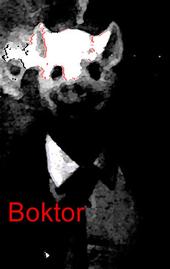 boktor profile picture