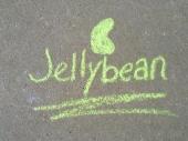 I'm your Jellybean profile picture