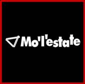 molestate profile picture