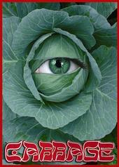 Cabbage profile picture