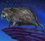 The Nutria King! profile picture