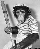 DRUNK MONKEY CHAINSAW profile picture