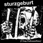 sturzgeburt profile picture