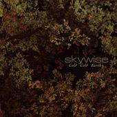 Skywise profile picture