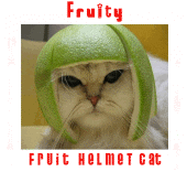 fruit helmet cat profile picture