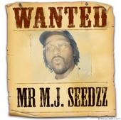 MR SEEDZZ profile picture