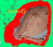 Scarbelly profile picture