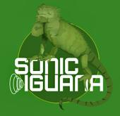 Sonic Iguana Studios profile picture