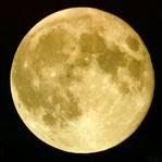 E20FULLMOON profile picture