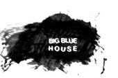 big blue house profile picture