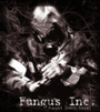 Fungus Inc. profile picture