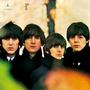 The Beatles profile picture