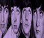 The Beatles profile picture