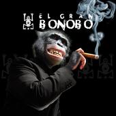 El Gran Bonobo profile picture