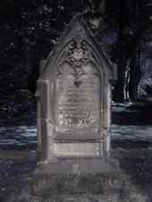 The Cemetery profile picture