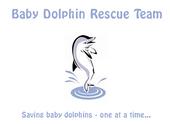 Baby Dolphin Rescue Team profile picture