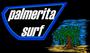 2 Rolas Nuevas!! Palmerita Surf profile picture