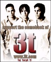 3T Polish Site profile picture