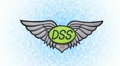 DSS Free Party profile picture