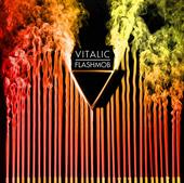 Vitalic - Fan Space profile picture